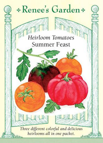 Tomato 'Summer Feast'