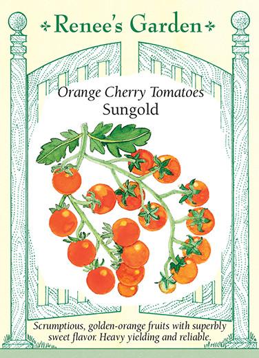 Tomato 'Orange Cherry Sungold'