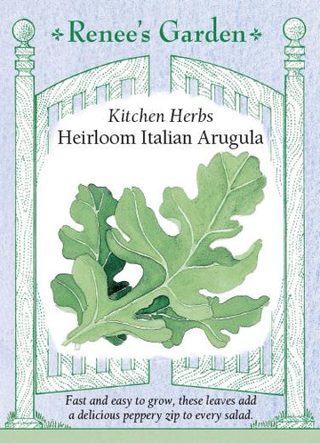 Arugula 'Italian'