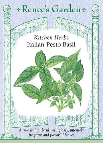 Basil 'Italian Pesto'