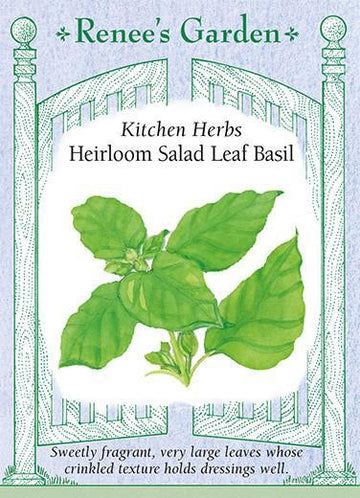 Basil 'Salad Leaf '