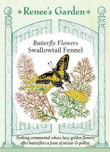 Fennel 'Butterfly Flowers Swallowtail'