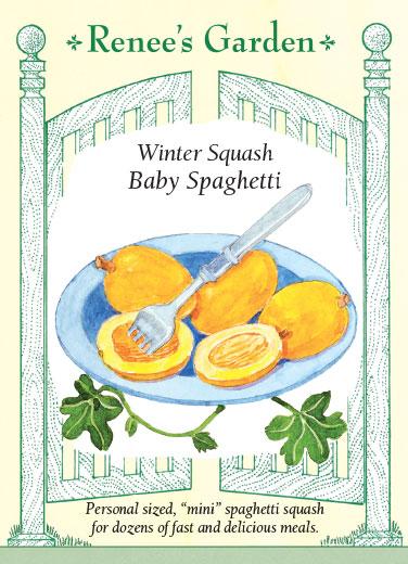 Squash 'Winter Baby Spaghetti'