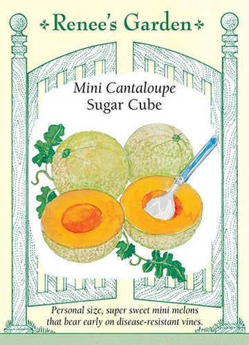 Melon 'Mini Cantaloupe Sugar Cube'