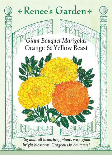 Marigold 'Orange & Yellow Beast Giant Bouquet'