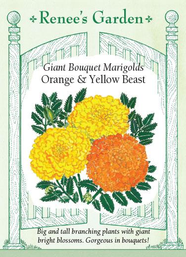Marigold 'Orange & Yellow Beast Giant Bouquet'