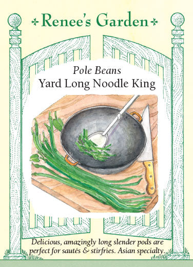 Bean 'Pole Beans Yard Long Noodle King'