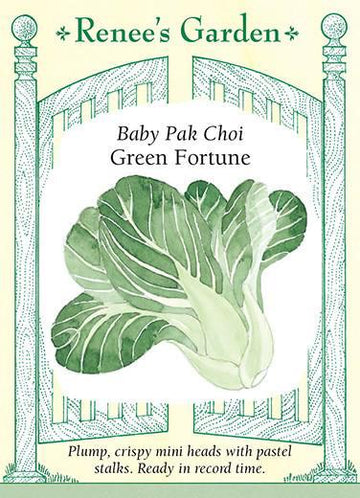 Pak Choi 'Baby Green Fortune'