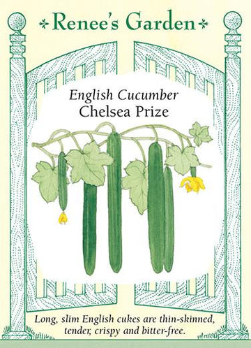 Cucumber 'English Chelsea Prize'