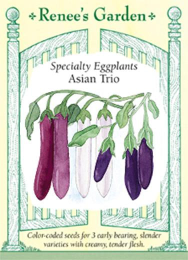 Eggplant 'Asian Trio'