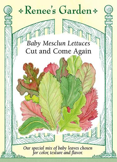 Lettuce 'Baby Mesclun Cut and Come Again'