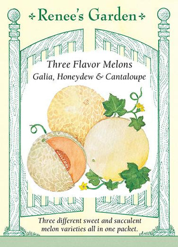 Melon 'Three Flavor Galia, Honeydew & Cantaloupe'