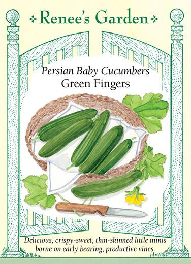 Cucumber 'Persian Baby Green Fingers'