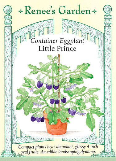 Eggplant 'Container Little Prince'