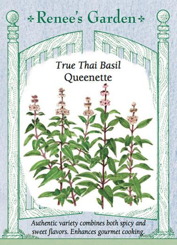 Basil 'Queenette Thai'
