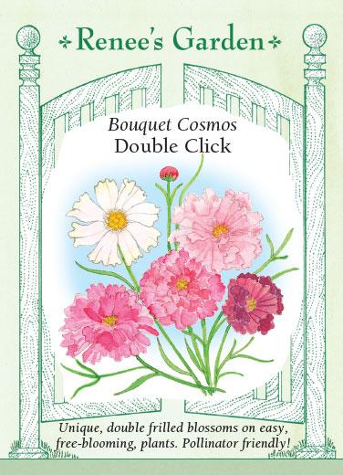Cosmos 'Double Click Bouquet'