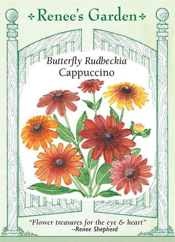 Rudbeckia 'Cappucino'