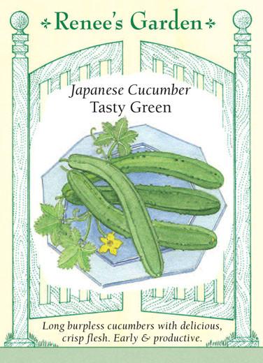 Cucumber 'Japanese Tasty Green'
