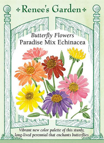 Echinacea 'Butterfly Flowers Paradise Mix'