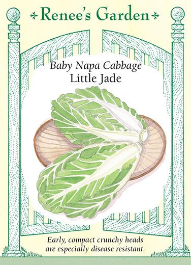 Cabbage 'Baby Napa Little Jade'