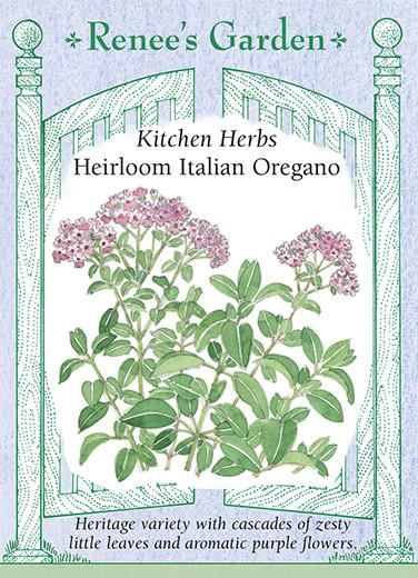 Oregano 'Heirloom Italian'