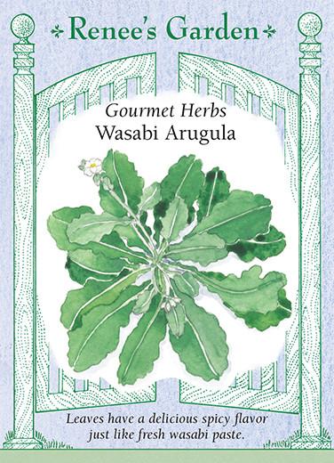 Arugula 'Wasabi'