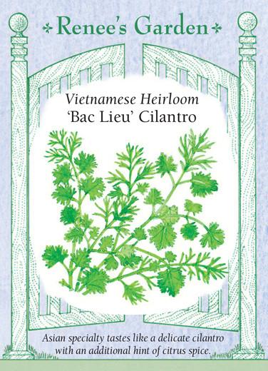 strawberry plant yellow flowers 100 YELLOW WONDER STRAWBERRY Everbearing Heirloom Alpine Fragaria Vesc –  Seedville USA main image 1