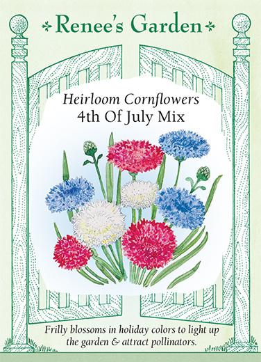 Cornflower '4th Of July Mix'