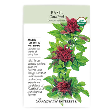 Basil 'Cardinal'