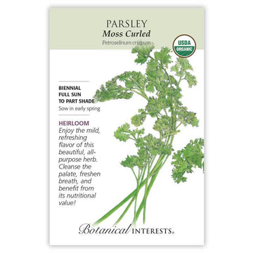 Parsley 'Moss Curled'