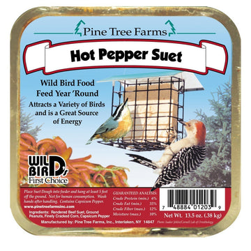 Suet - Hot Pepper Cake