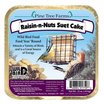 Suet - Raisin N Nuts  Cake