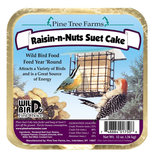 Suet - Raisin N Nuts  Cake