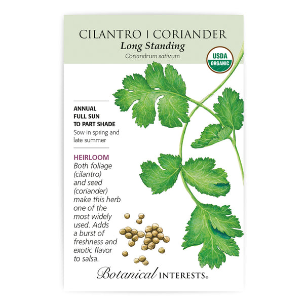 Cilantro/Coriander 'Long-Standing'