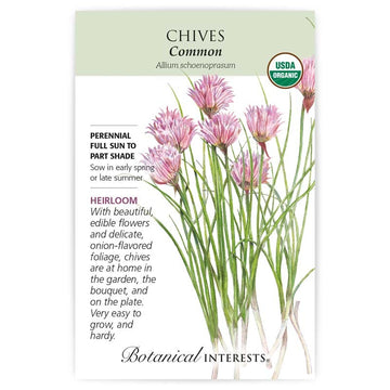 Chives 'Common Onion'