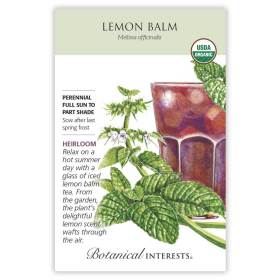 Lemon Balm