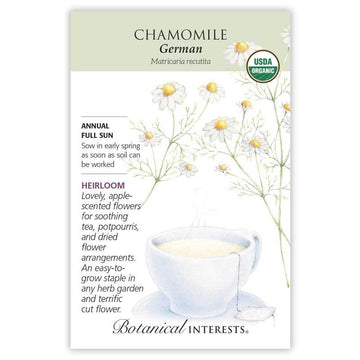 Chamomile 'German'