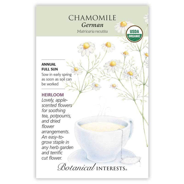 Chamomile 'German'