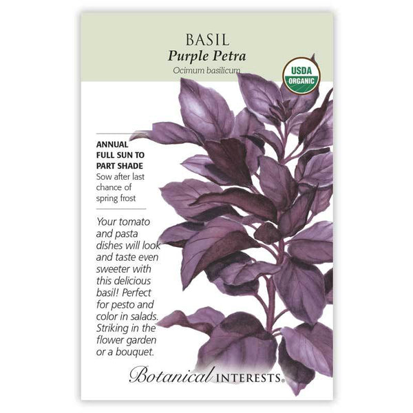 Basil 'Purple Petra'