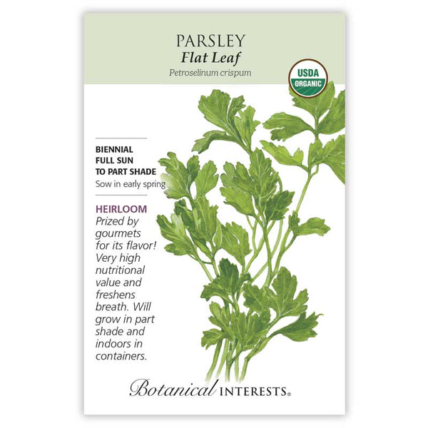 Parsley 'Flat Leaf'