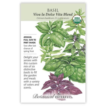 Basil 'Six Basil Blend'