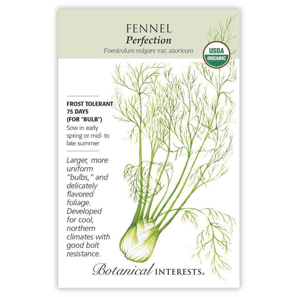 Fennel 'Romanesco'
