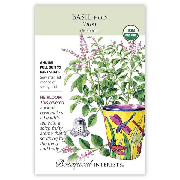 Basil 'Tulsi Holy'