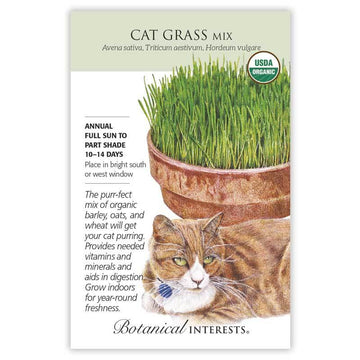 Cat Grass