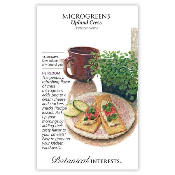Microgreens 'Upland Cress'
