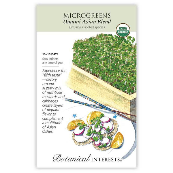 Microgreens 'Umami Asian Blend'