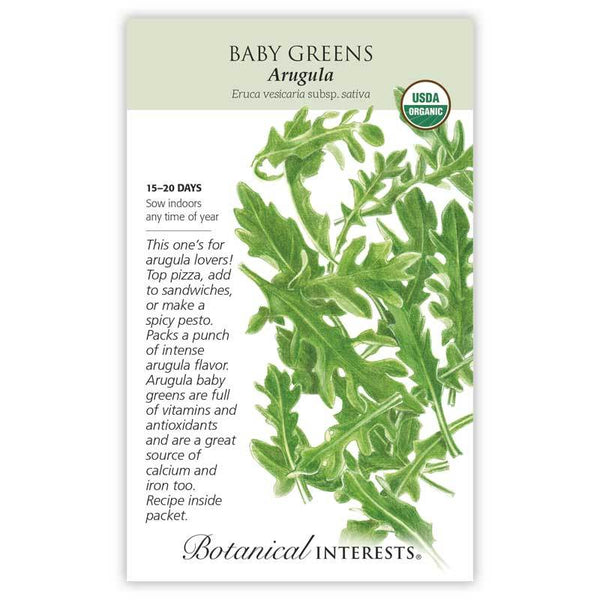 Baby Greens 'Arugula'