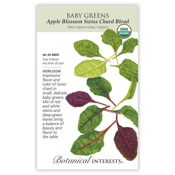 Baby Greens 'Apple Blossom Swiss Chard Blend'