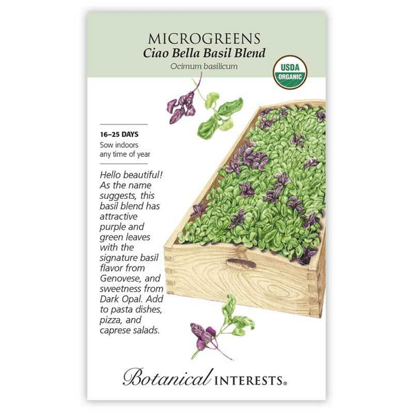 Microgreens 'Ciao Bella Basil Blend'