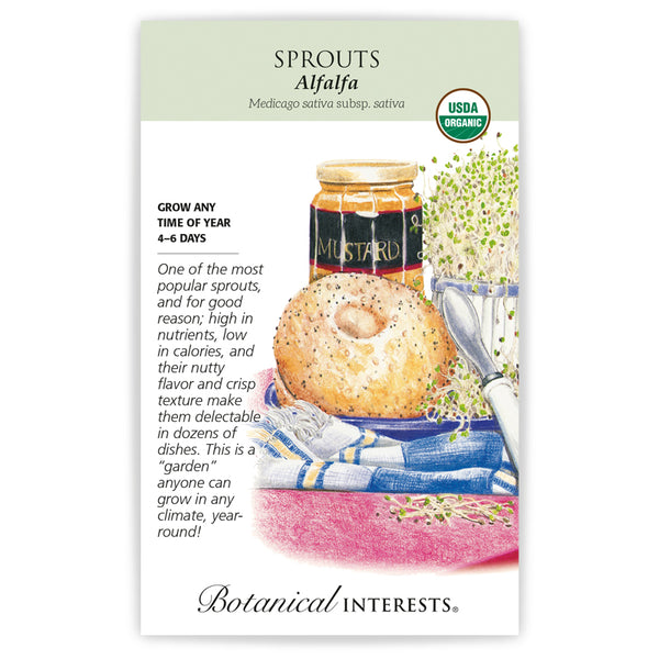 Sprouts 'Alfalfa'